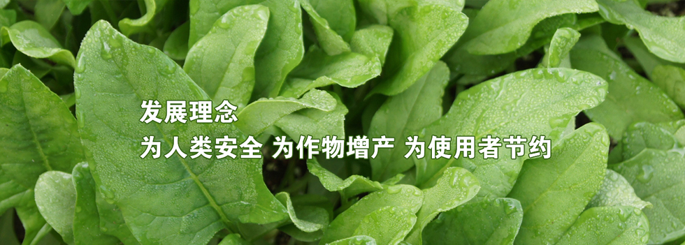 青島盛翔達(dá)肥業(yè)有限公司